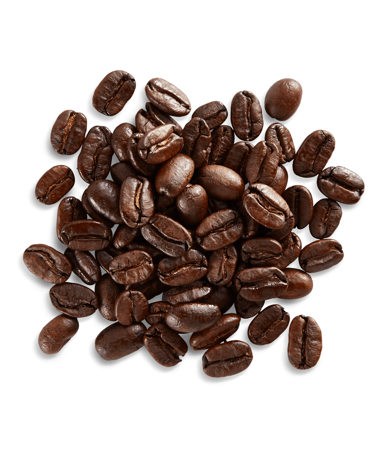 Sumatra - Image 3